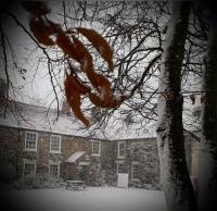 Apartamento de 2 dormitorios