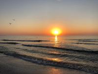 Tanya Apartments Summerland - B&B