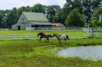 Renovated Bunkhouse on 12-Acre Horse Farm! - B&B Perrysville