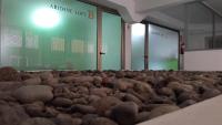 aridane loft - B&B