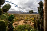 Tequila Sunrise Cottage at Karoofontein Guest Farm - B&B Geelwal