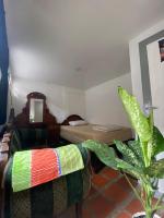 Habitación Individual Económica