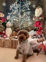 St Leonards Farmhouse - Chambres d’hôtes Blandford Forum