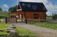 Przystanek Śnieżka - B&B