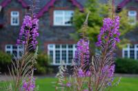 Rossclare Lodge - B&B
