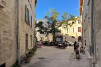 LE FIGUIER - CLIM - WIFI - B&B Villeneuve-lès-Avignon