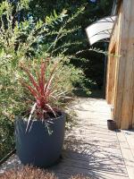 Lodge Domaine de Kerolivier - B&B Plogonnec