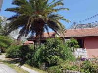 B&B Kotor - Villa Palma - Bed and Breakfast Kotor