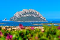 Villa with Breathtaking View I Private Garden I BBQ - Chambres d’hôtes Porto San Paolo