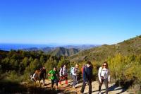 Estudio Platero - Bed and Breakfast Nerja