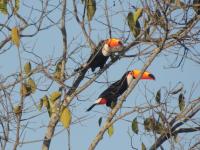 Pousada do Sossego - B&B Extrema