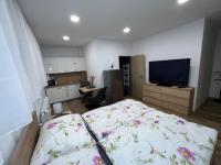 Apartmány U Jelena 1 - B&B Český Krumlov