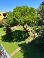 B&B Tirrenia - Complesso Oasi - Bed and Breakfast Tirrenia