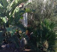 Villa Verde Guest House - Chambres d’hôtes Tramatza