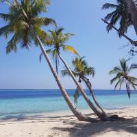 Vaali Maldives Island Escapes & Dive - B&B Felidhoo