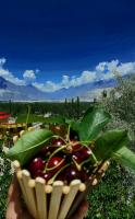 HIKK Inn Skardu - Chambres d'hôtes Skardu