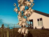 BALTICO Domki Letniskowe - Bed and Breakfast