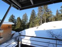 Appartement 2 pièces proche pistes pour 4 personnes, animaux admis - FR-1-549-98 - Chambres d'hôtes Chamrousse