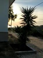 Villa Leyland - B&B Cattolica Eraclea