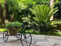 B&B Galatina - Casa vacanze Salento&Natura - Bed and Breakfast Galatina