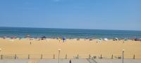 B&B Virginia Beach - Oceanfront beach, sky, & dolphins - Bed and Breakfast Virginia Beach