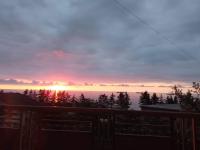Sea-Gardens - Family Guest House - B&B Batumi