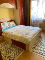 Exclusive HORTENSIEI - B&B Baia Mare