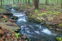 Romantic Pocono house - stream, lake, beach, pool, firepit - B&B Locust Lakes Village