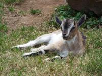 Family Room with Terrace