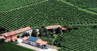 Casa Vacanze Ricca Vigna - B&B