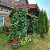 Domek Pod Mazurskim Lasem - Bed and Breakfast Gant