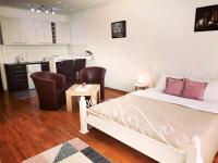 VIKONT studio apartment with parking 5 eur per day - Ferienwohnung Belgrad