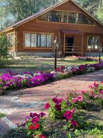 Forest and Lake - B&B Borovoye