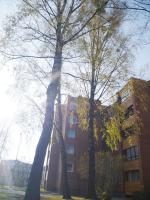 Šaulys1 - B&B Druskininkai