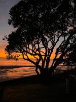 Island View Hideaway - B&B Auckland