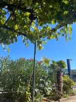 Apartment Cozy&Quiet - B&B Rovinj