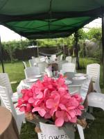 Къща за гости Рупите , Guest House Relax Rupite - B&B Rupite