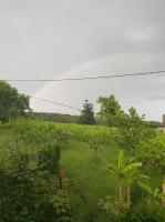 Apartma Silvia - Chambres d’hôtes Metlika