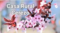 B&B Murcia - ALOJAMIENTO RURAL CEREZO - Bed and Breakfast Murcia