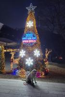 Newly renovated spacious 2 bedroom unit in HBC #1 - B&B Seoul