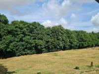 The Farmhouse - Linton Horseheath - B&B Linton