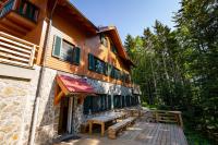 Prijeten sončen apartma v objemu Pohorja - B&B