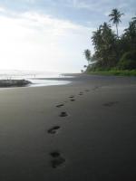 Bungalow - Bord de l'Eau