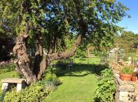 Badgers Cottage a very original Somerset longhouse - B&B