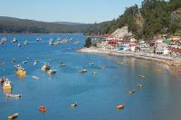 LOS CLAVELES - B&B