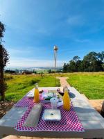 Glamping Irlanda - B&B El Sucre