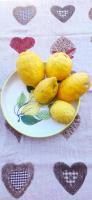 Margherita house sorrento - B&B Vico Equense