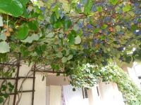 Nice apartment with free car parking, WiFi and bikes for free - Chambres d'hôtes Ljubljana