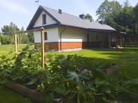 Siedlisko Czarny Dzięcioł - B&B Narewka