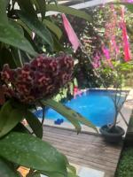 Orchid House - B&B Bulu Baat